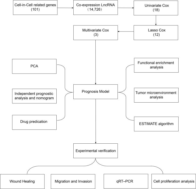 Figure 1