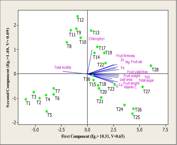 FIGURE 6