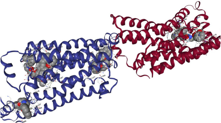 FIGURE 9