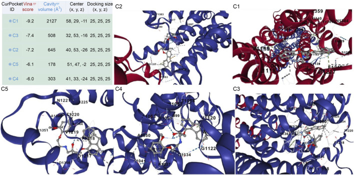 FIGURE 10