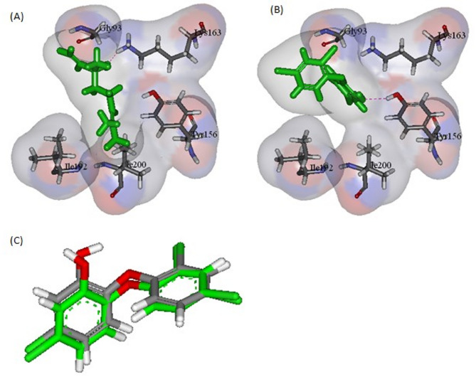 Figure 5