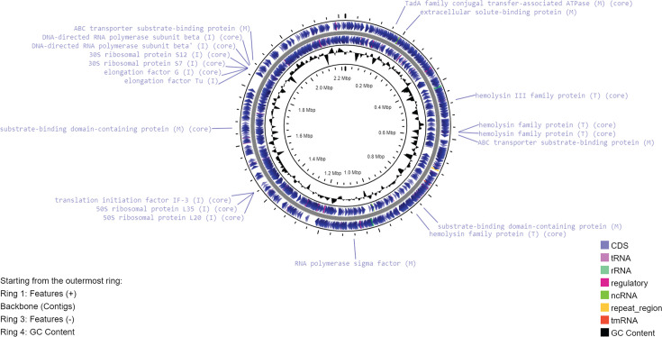 Fig. 2
