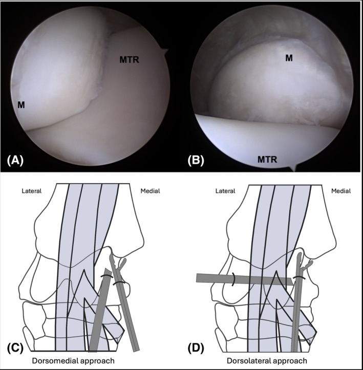 FIGURE 1