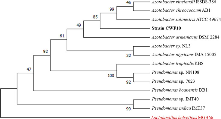 Fig. 2