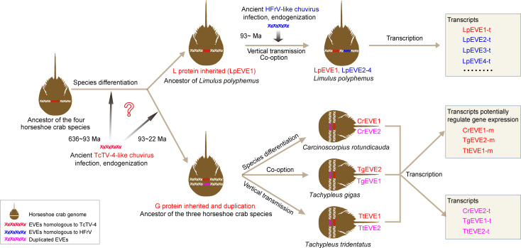 Fig 6