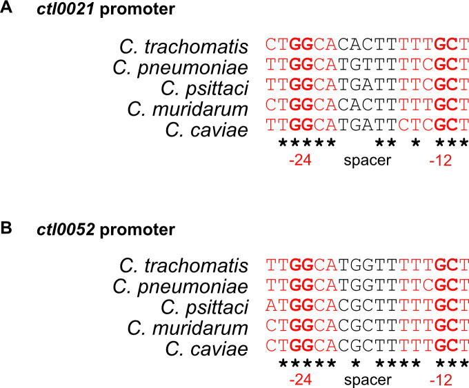 Fig 7