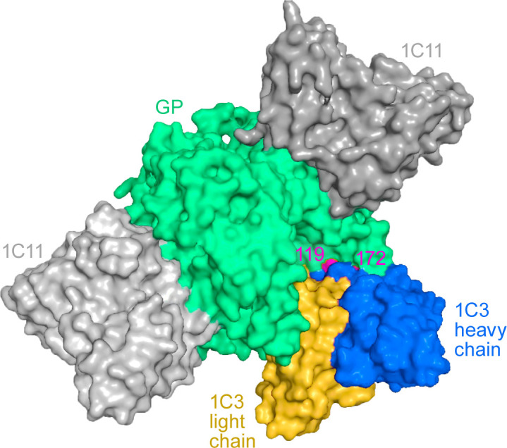Fig 4