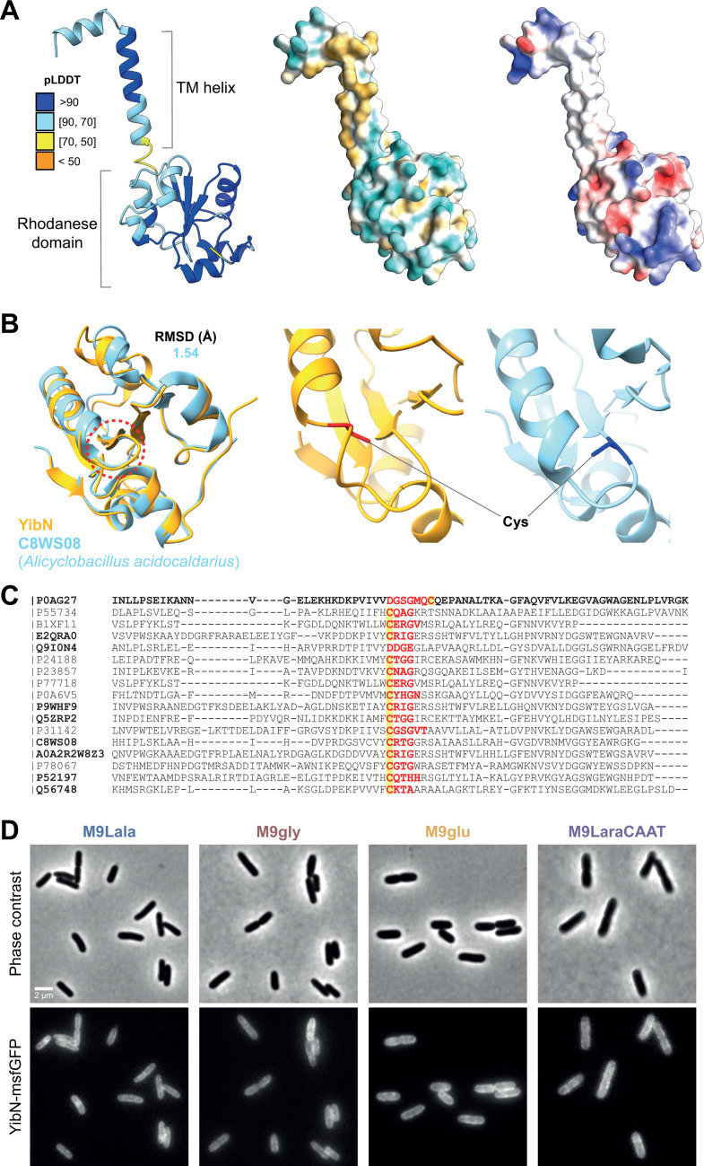 Fig 5