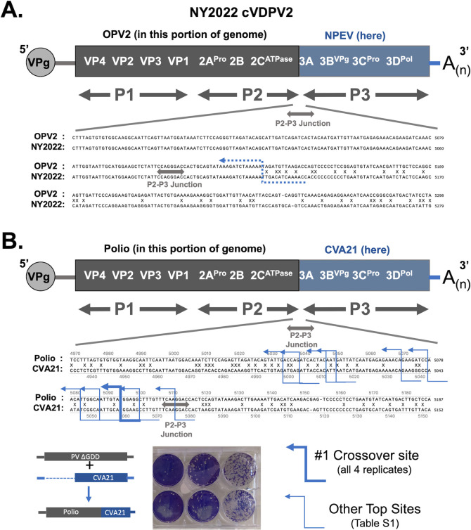 Fig 4