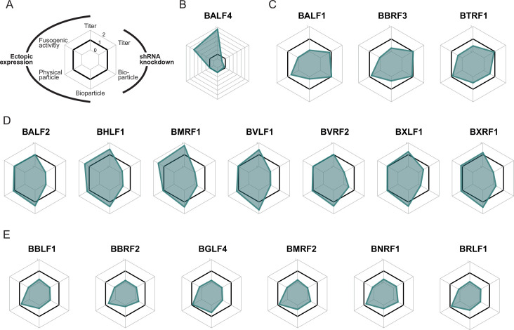 Fig 10