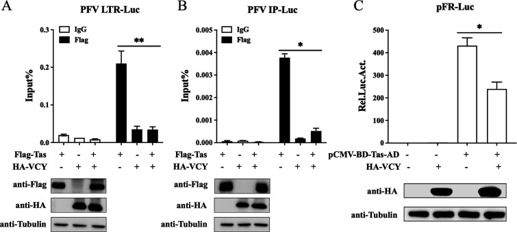 Fig 7