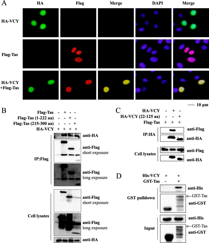 Fig 8