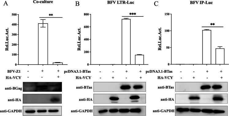 Fig 9
