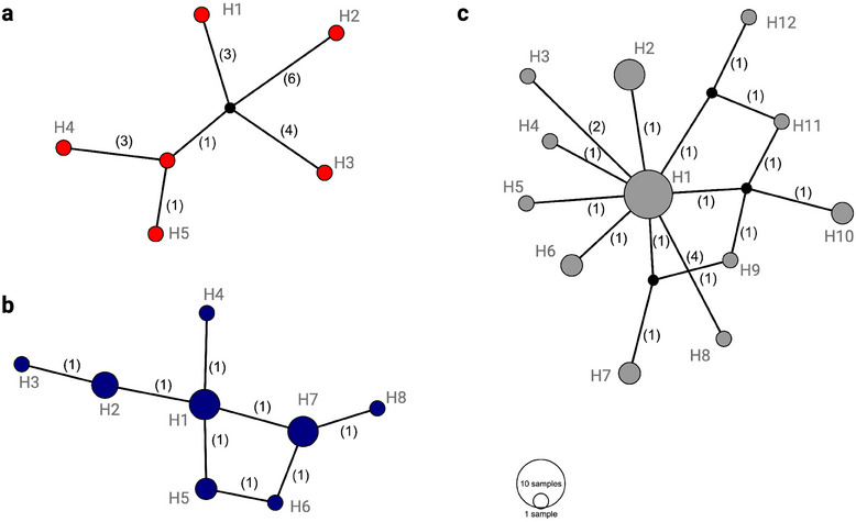 FIGURE 1