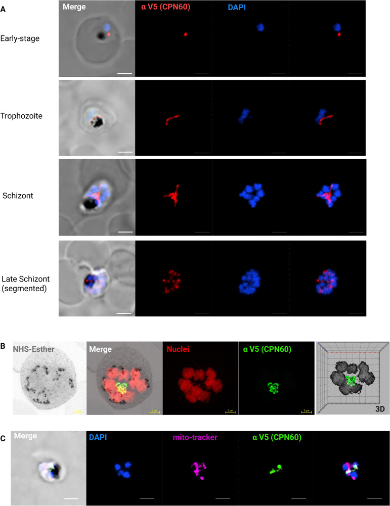 Fig 2