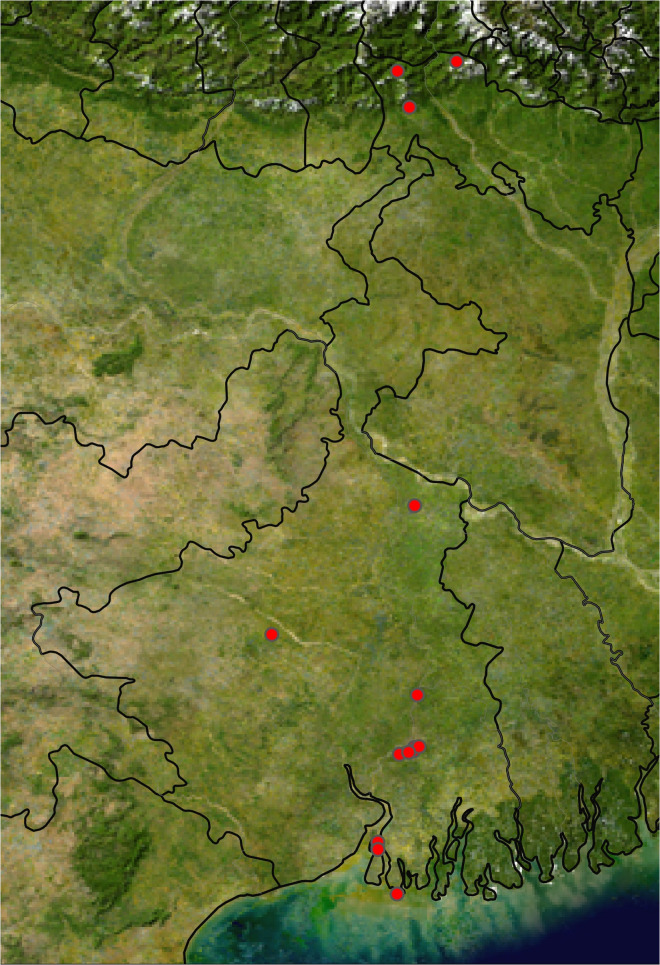 Fig 1