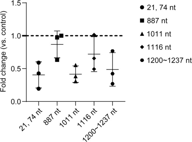 Fig 5