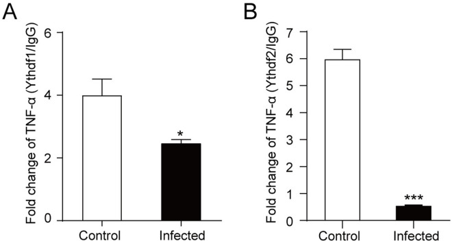 Fig 7