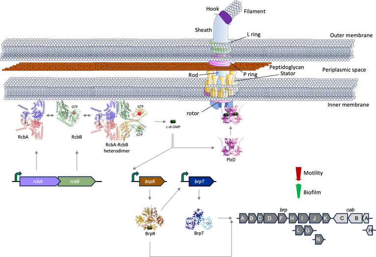 Figure 12