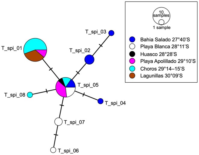 Figure 5