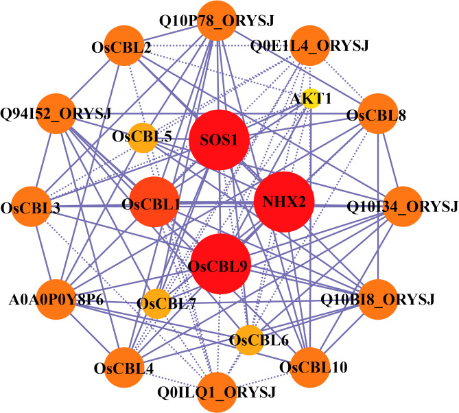 Figure 7