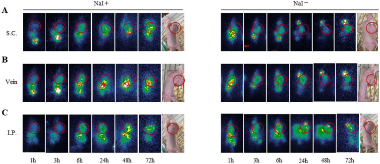 Figure 6