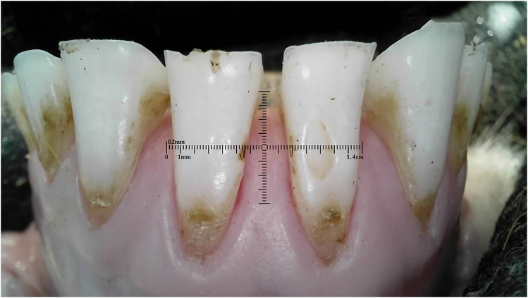 Figure 20
