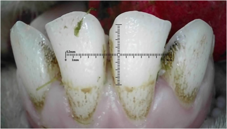 Figure 24