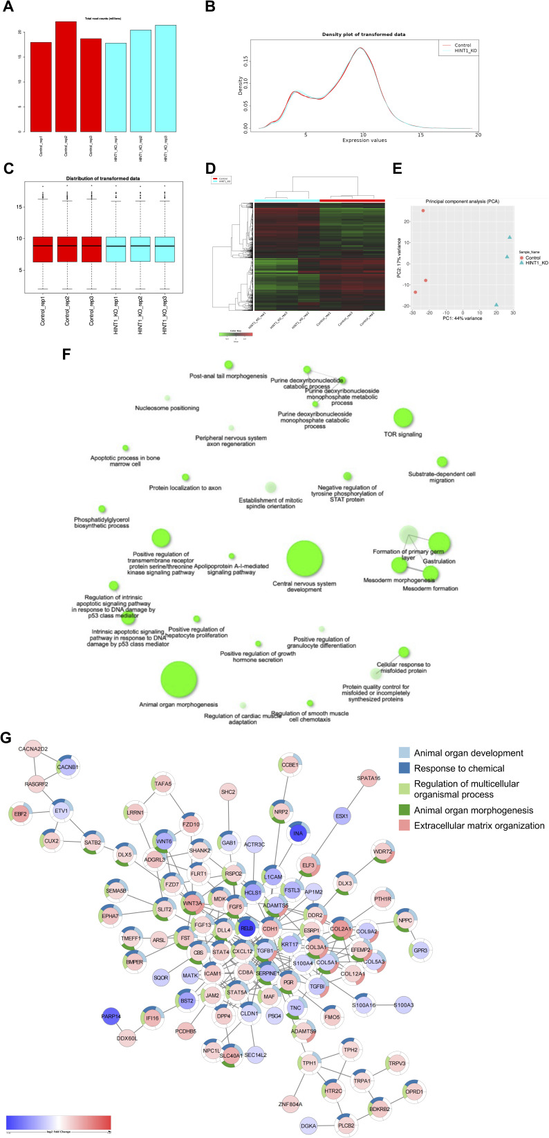 Figure 20