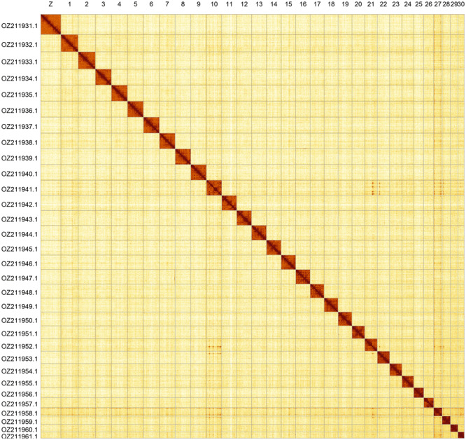 Figure 5