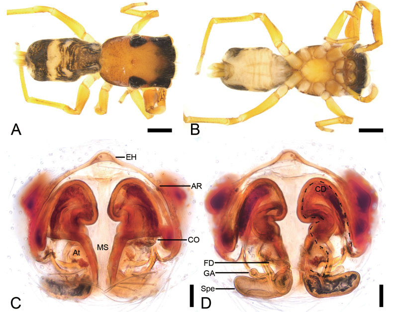 Figure 6