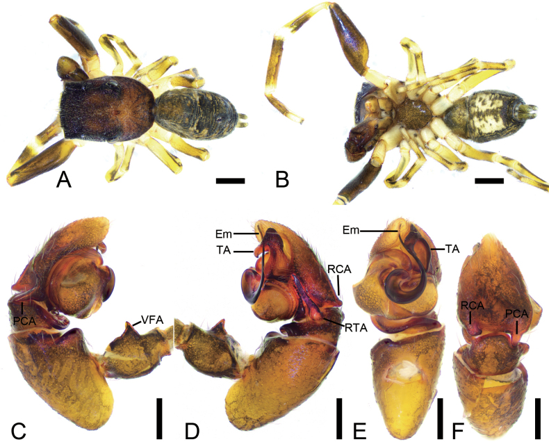 Figure 7
