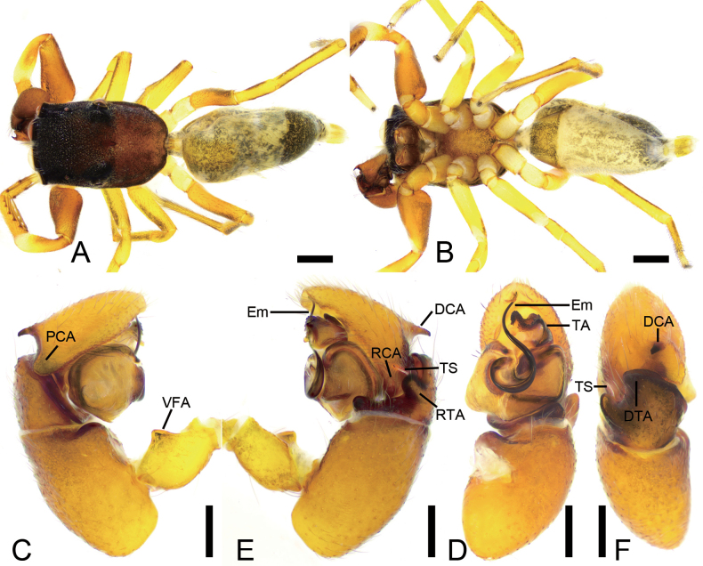 Figure 10
