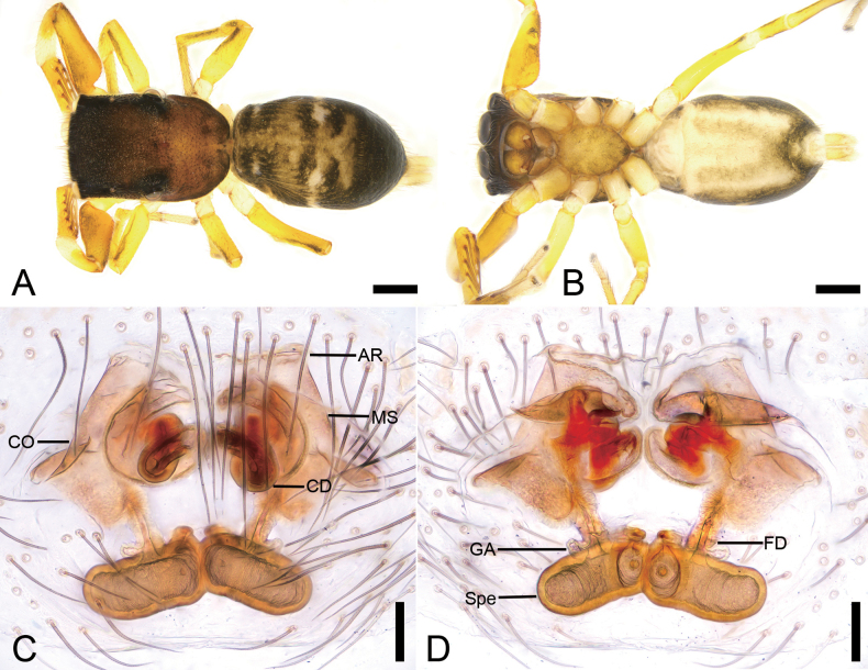 Figure 12