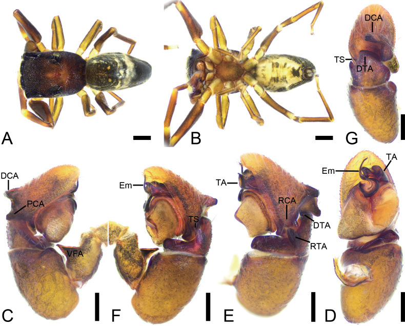Figure 13