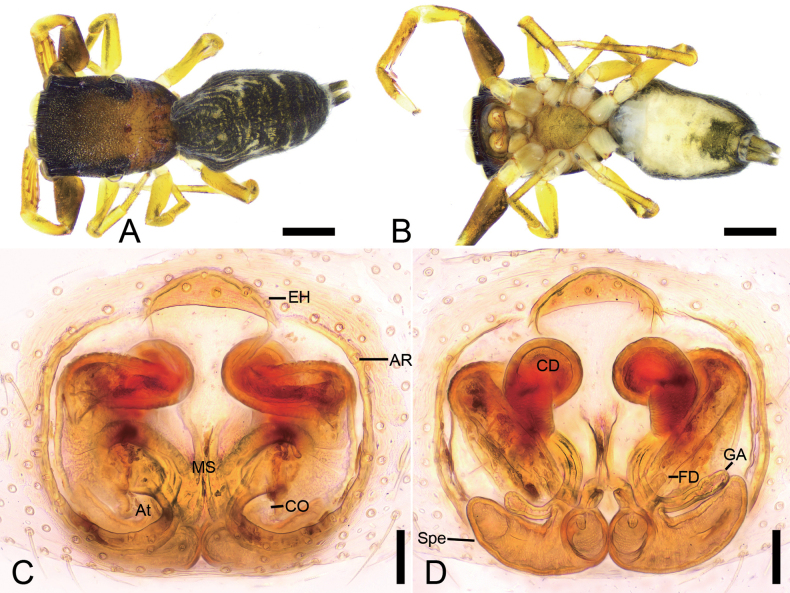 Figure 15