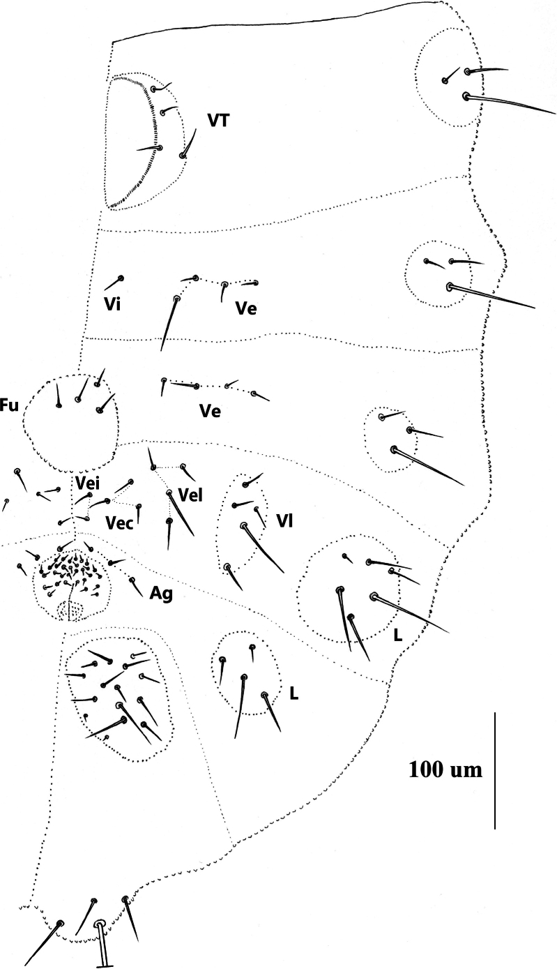 Figure 8