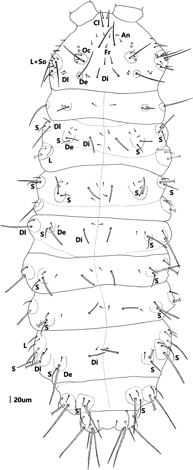 Figure 10