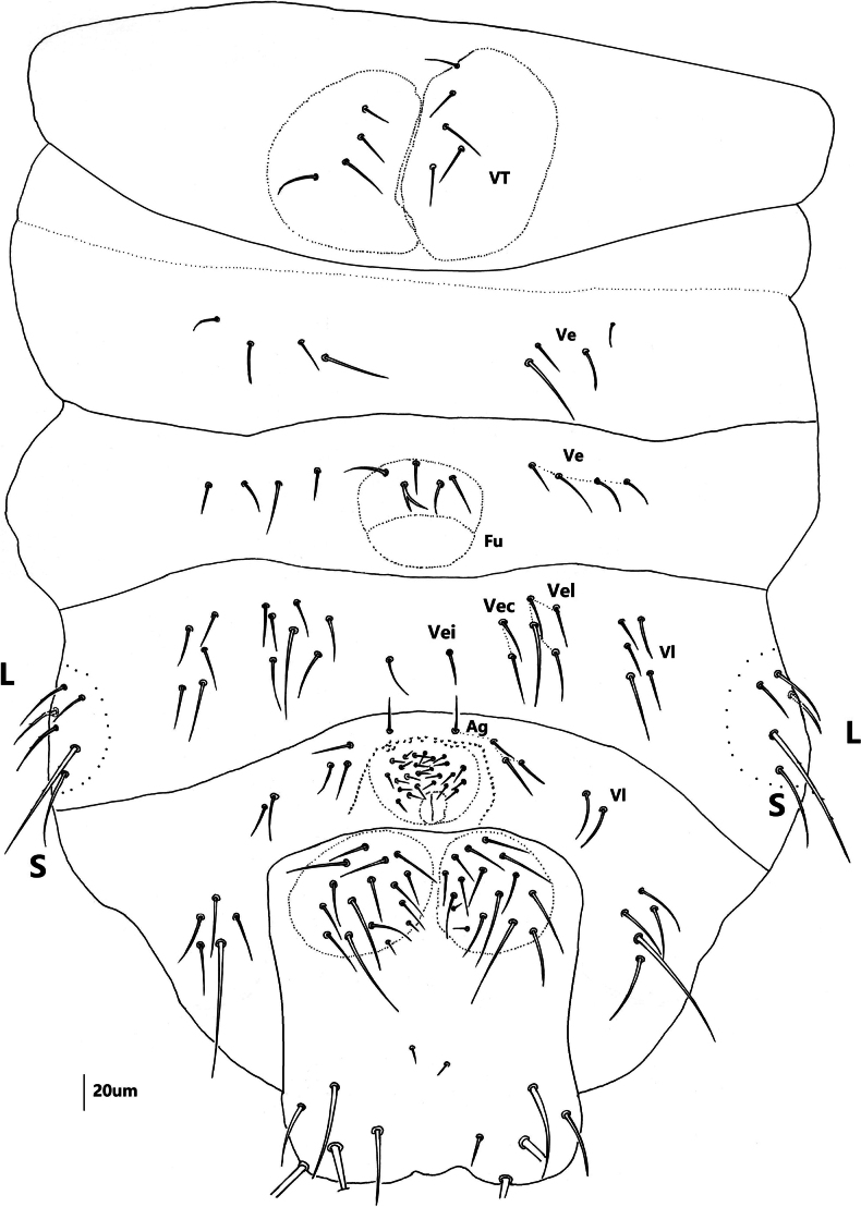 Figure 11