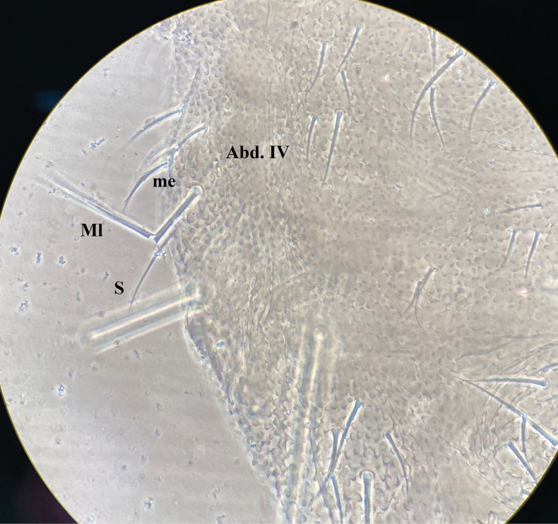 Figure 12