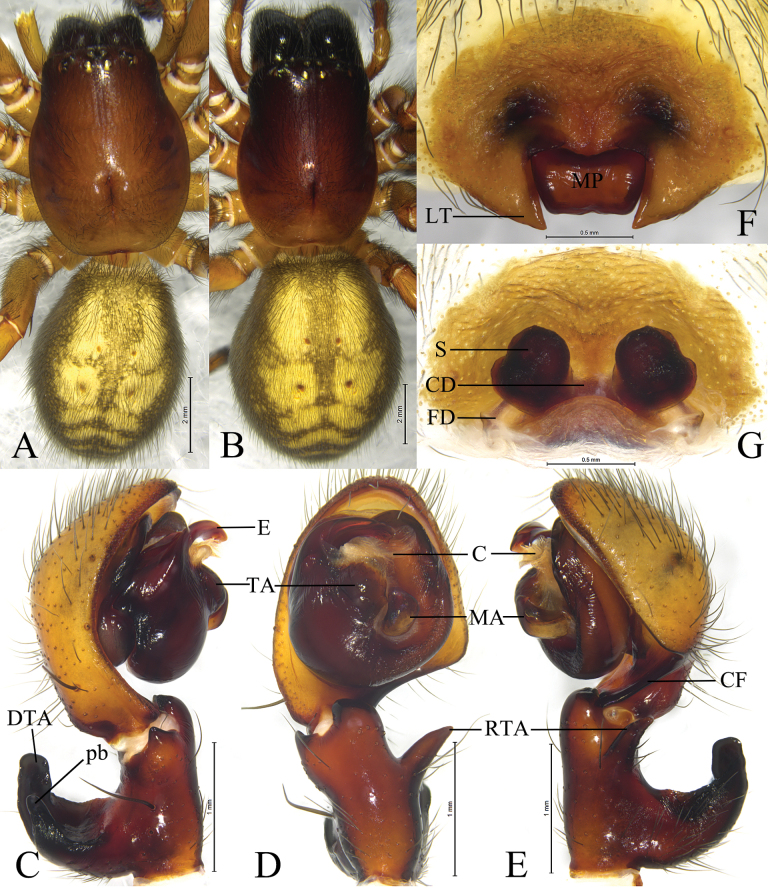 Figure 7