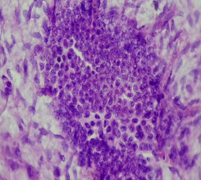 Figure 8
