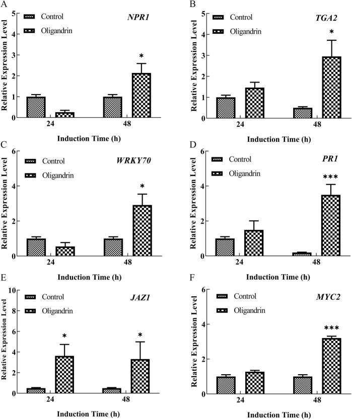 Figure 4
