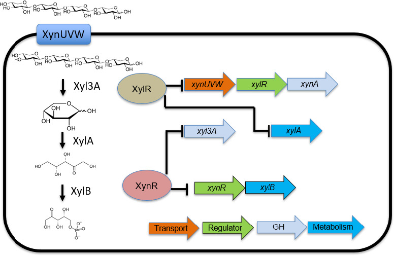 Figure 5