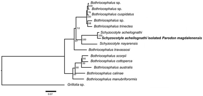Figure 5