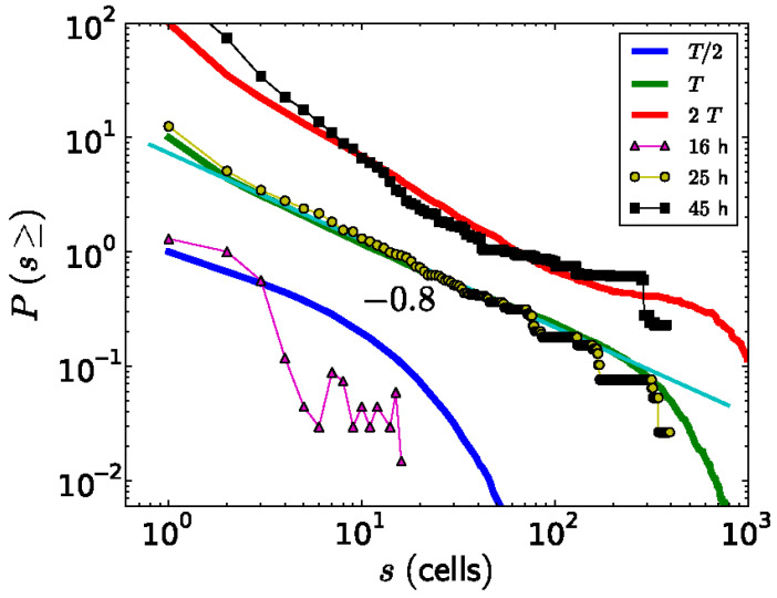 Figure 7