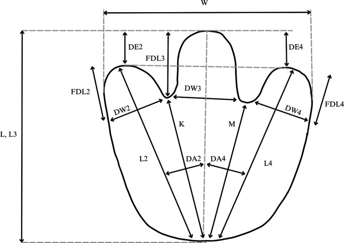 Figure 6