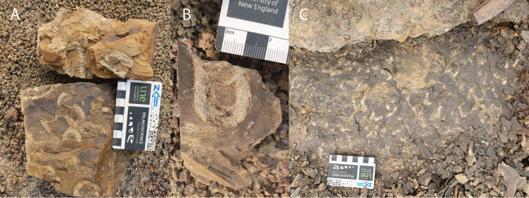 Figure 9