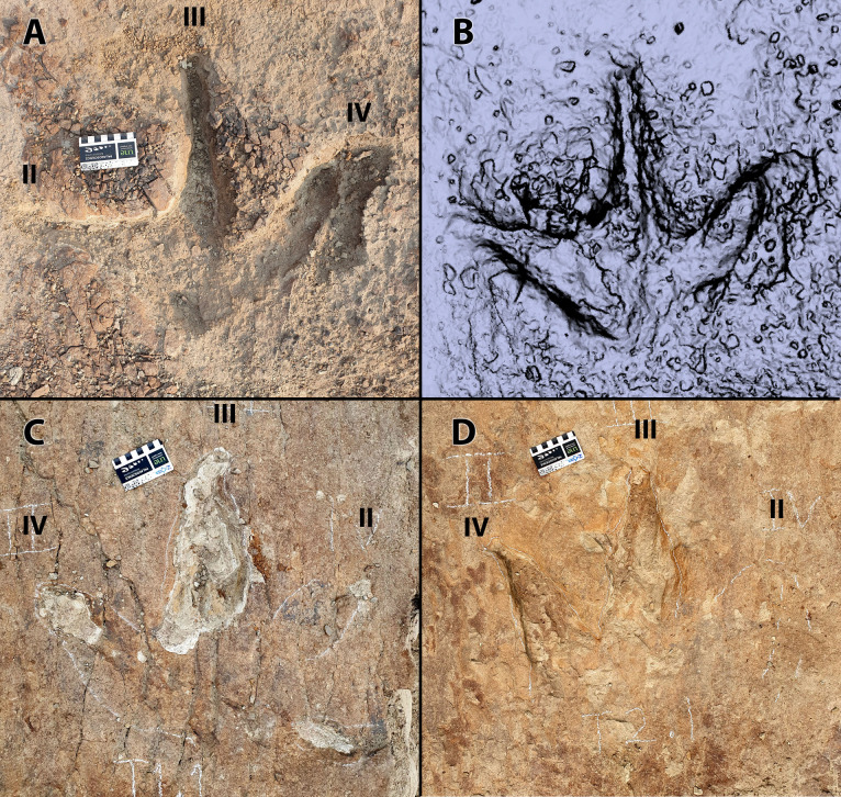 Figure 12