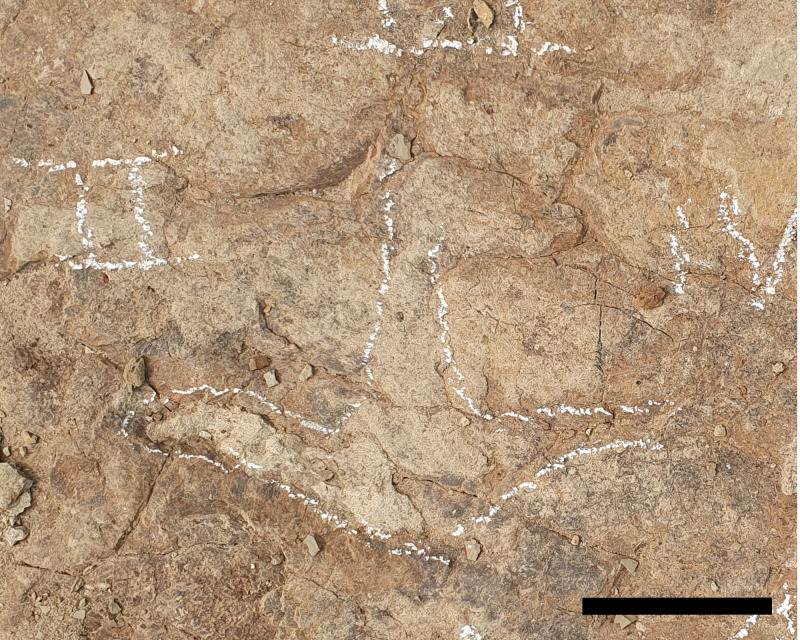 Figure 13
